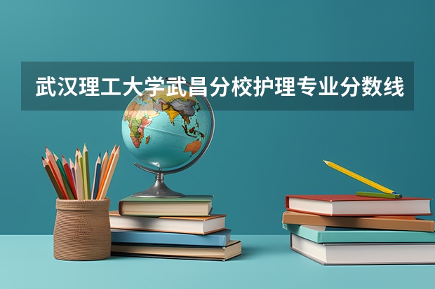 武汉理工大学武昌分校护理专业分数线是多少