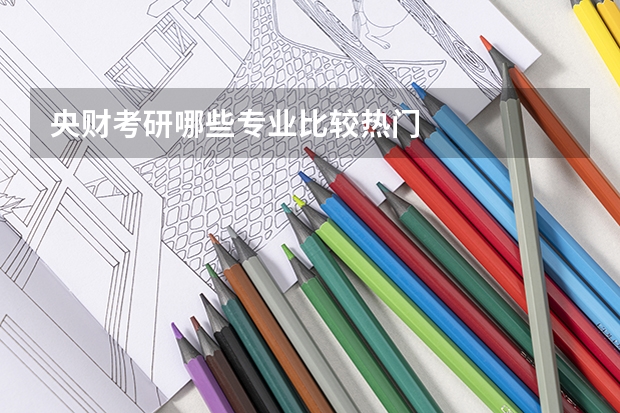 央财考研哪些专业比较热门