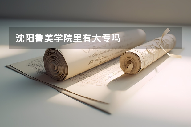 沈阳鲁美学院里有大专吗