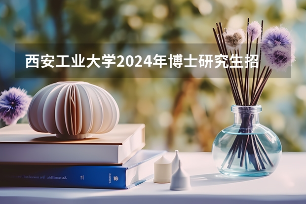 西安工业大学2024年博士研究生招生简章 北理工兵器专业研究生好考么