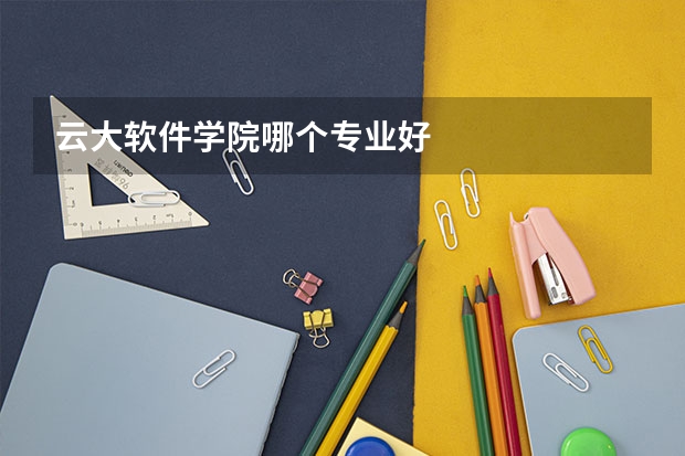 云大软件学院哪个专业好