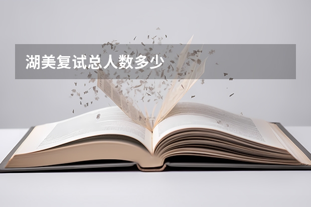 湖美复试总人数多少
