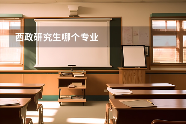 西政研究生哪个专业