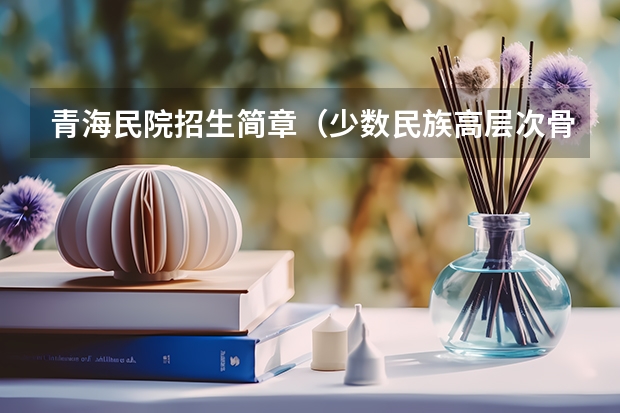 青海民院招生简章（少数民族高层次骨干人才计划招生简章）