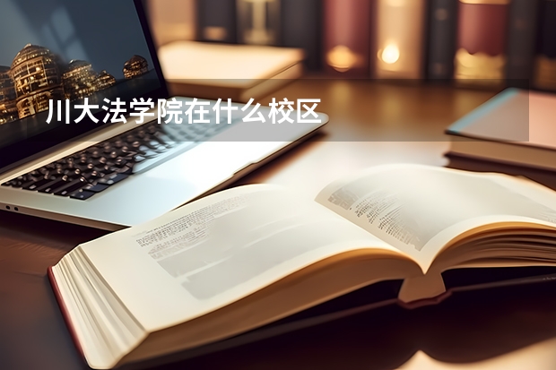 川大法学院在什么校区