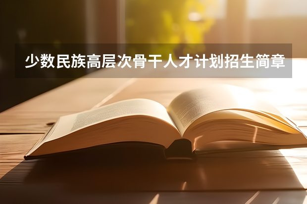 少数民族高层次骨干人才计划招生简章 2025年中央民族大学在职研究生报考条件