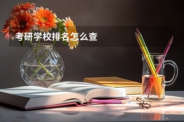 考研学校排名怎么查