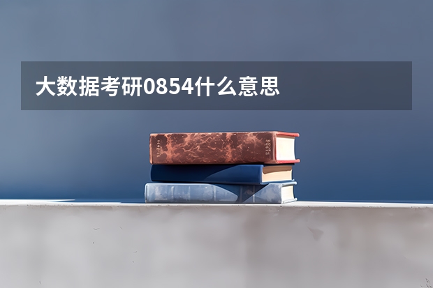 大数据考研0854什么意思