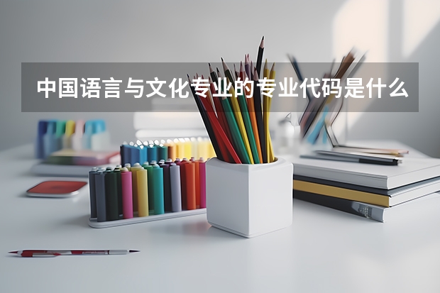 中国语言与文化专业的专业代码是什么