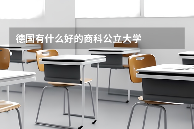德国有什么好的商科公立大学