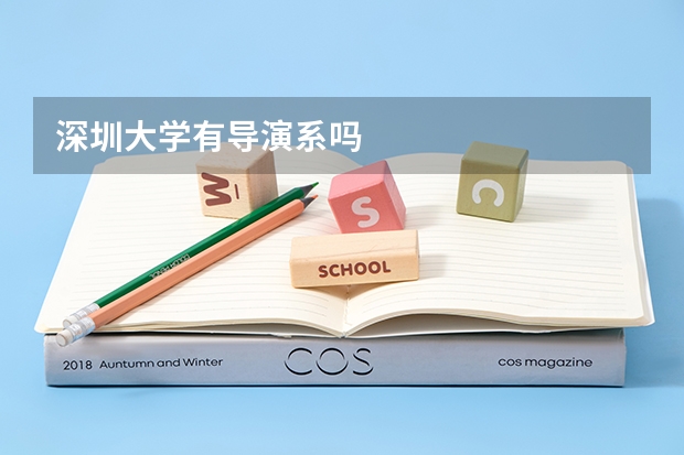 深圳大学有导演系吗