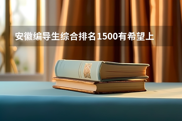 安徽编导生综合排名1500有希望上平顶山学院吗？