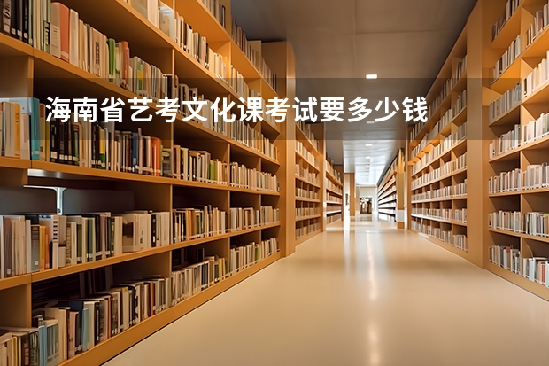 海南省艺考文化课考试要多少钱