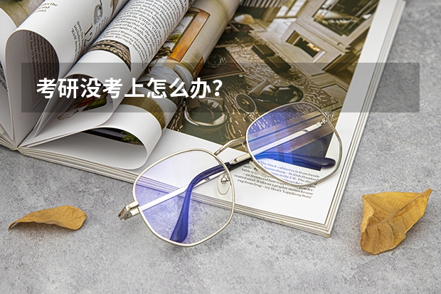 考研没考上怎么办？