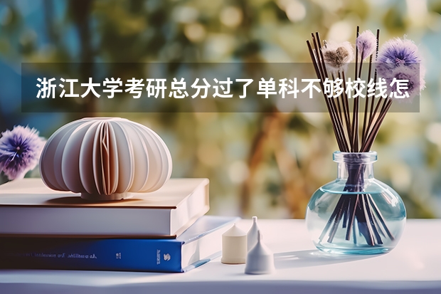 浙江大学考研总分过了单科不够校线怎么办