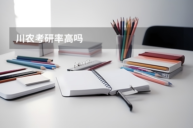 川农考研率高吗
